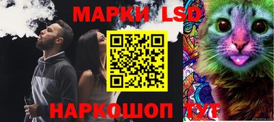 spice Краснодар