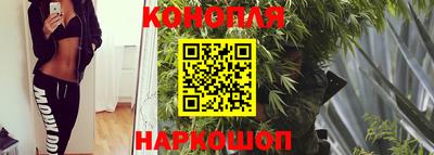 spice Краснодар