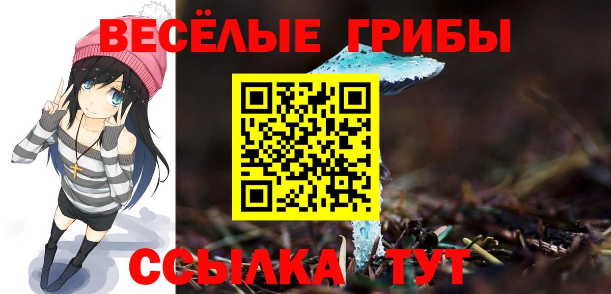 Галлюциногенные грибы прущие грибы  Вход с VPN  Южноуральск 